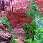 Wildland Trekking Co. - Backpacking Trips