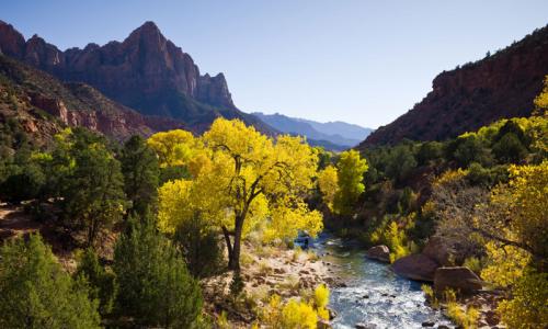 Virgin River Zion National Park
