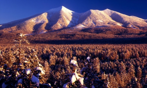 San Francisco Peaks Flagstaff