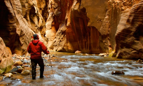 Zion National Park Summer Vacation