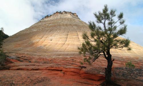 Checkerboard Mesa Zion