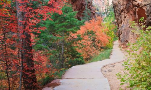 Refrigerator Canyon Zion National Park