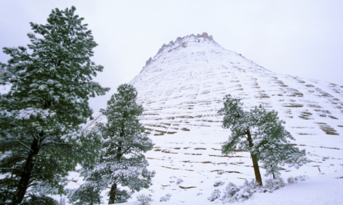 Zion National Park Winter