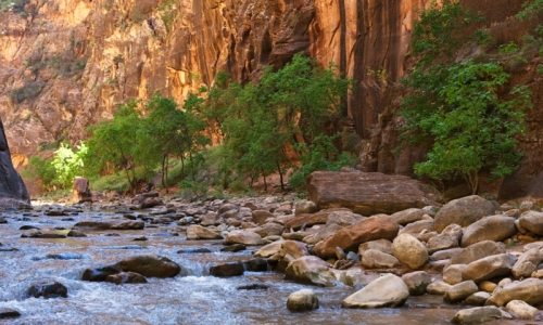 Virgin River The Narrows Zion National Park Utah