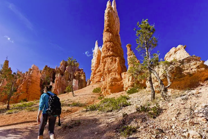 Wildland Trekking Company — Zion National Park, UT