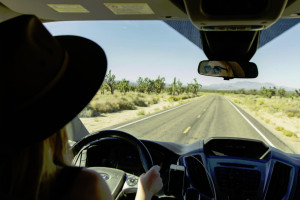 Wandervan Rentals - Freedom to Roam in Zion NP