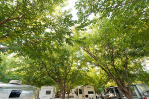 WillowWind RV Park