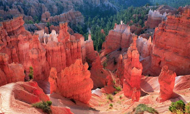 Hoodoos and Hiking Trail in Bryce Canyon National Park