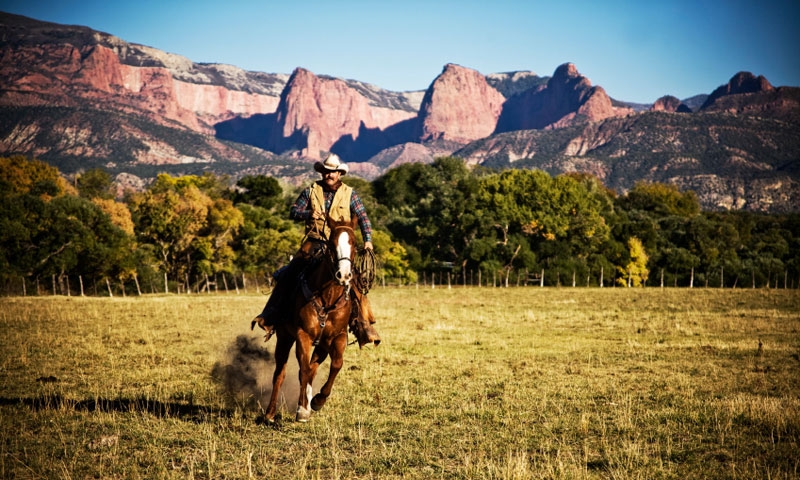Horseback Riding in front of Zion National Park