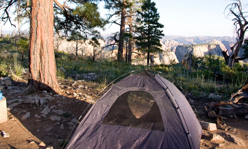 Backcountry Camping in Zion National Park