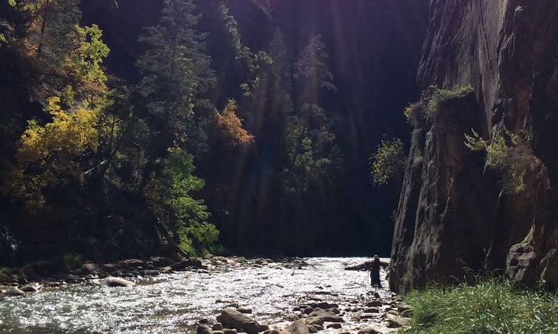 Zion Narrows Hiking