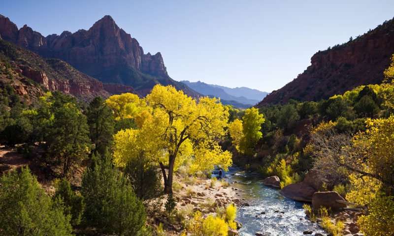 The Virgin River leads to the Watchman in Zion