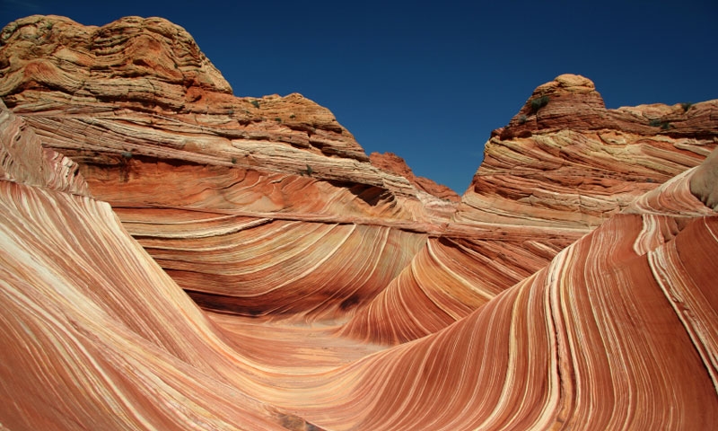 The Wave at the Vermillion Cliffs