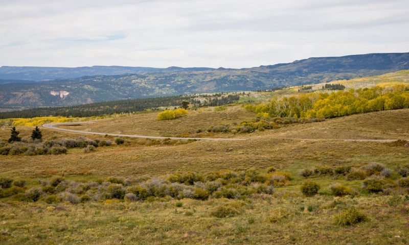 Dixie National Forest near Boulder Utah