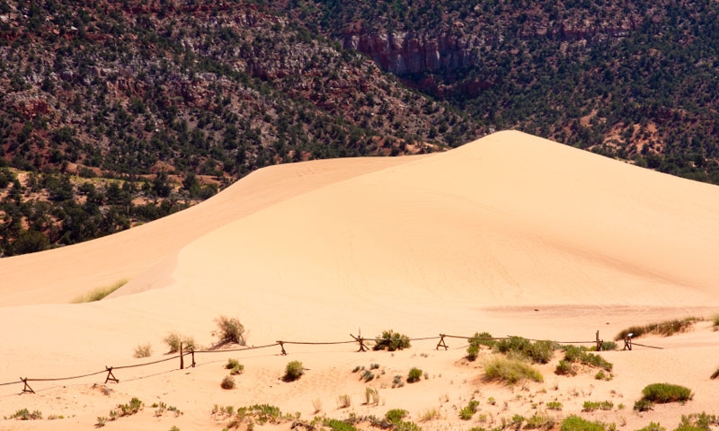 Coral Pink Sand Dunes State Park in Southern Utah