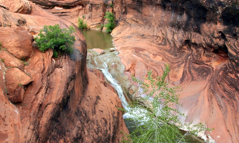 Quail Creek State Park near St George