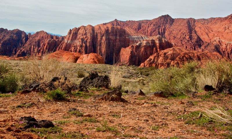Snow Canyon State Park in Southern Utah