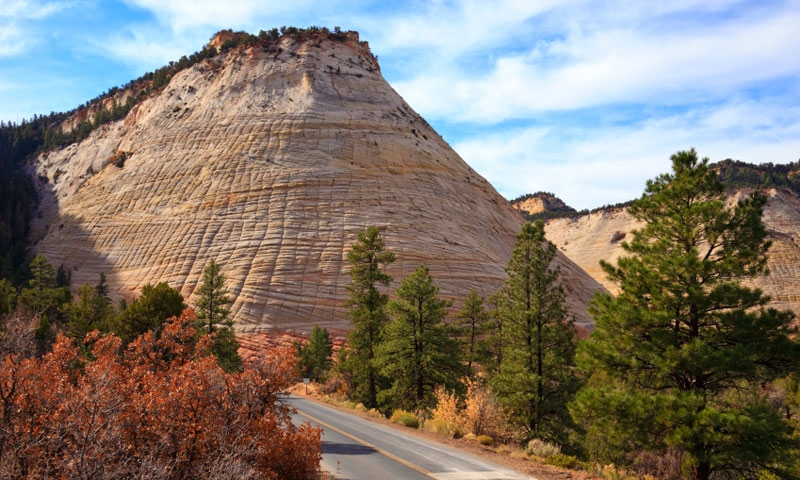 Checkerboard Mesa in Zion National Park