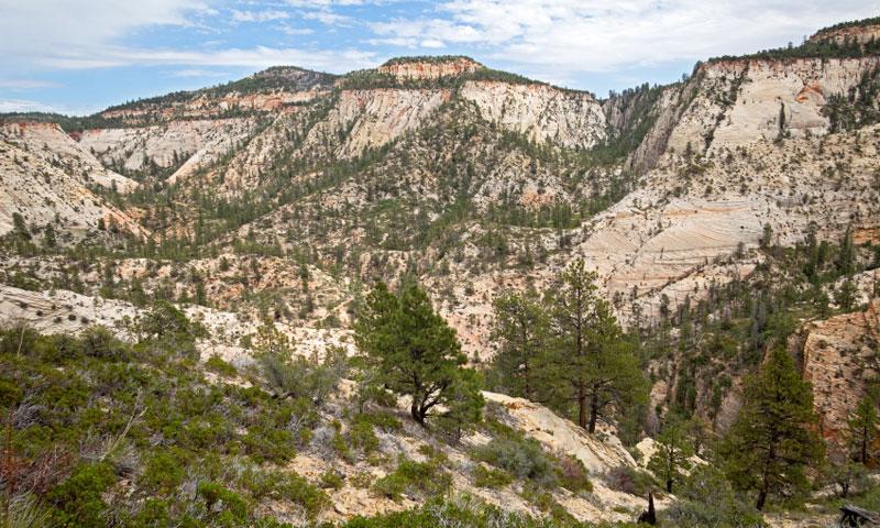 East Rim from Observation Point Trail in Zion Park