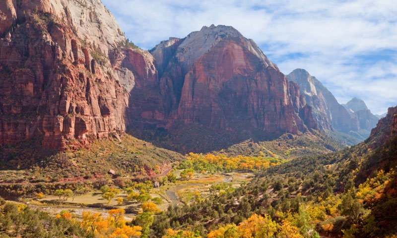 Virgin River runs through Zion Canyon in the Fall