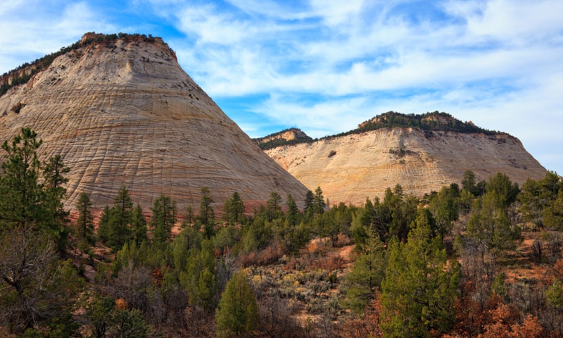 Checkerboard Mesa in Zion National Park