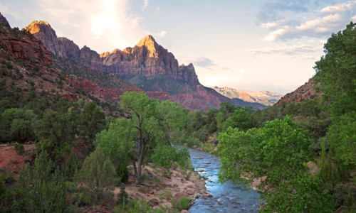 The Watchman
