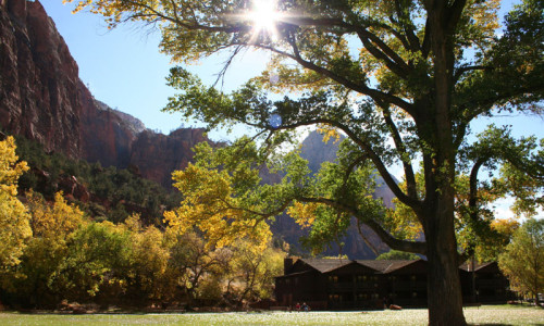 Park Lodging