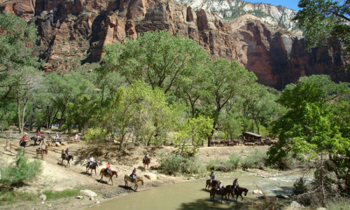 Horseback Riding