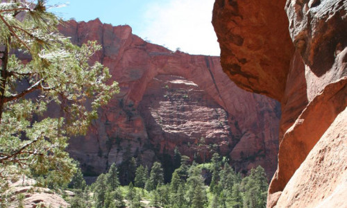 Kolob Arch Trail