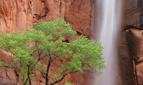 Weeping Rock Trail
